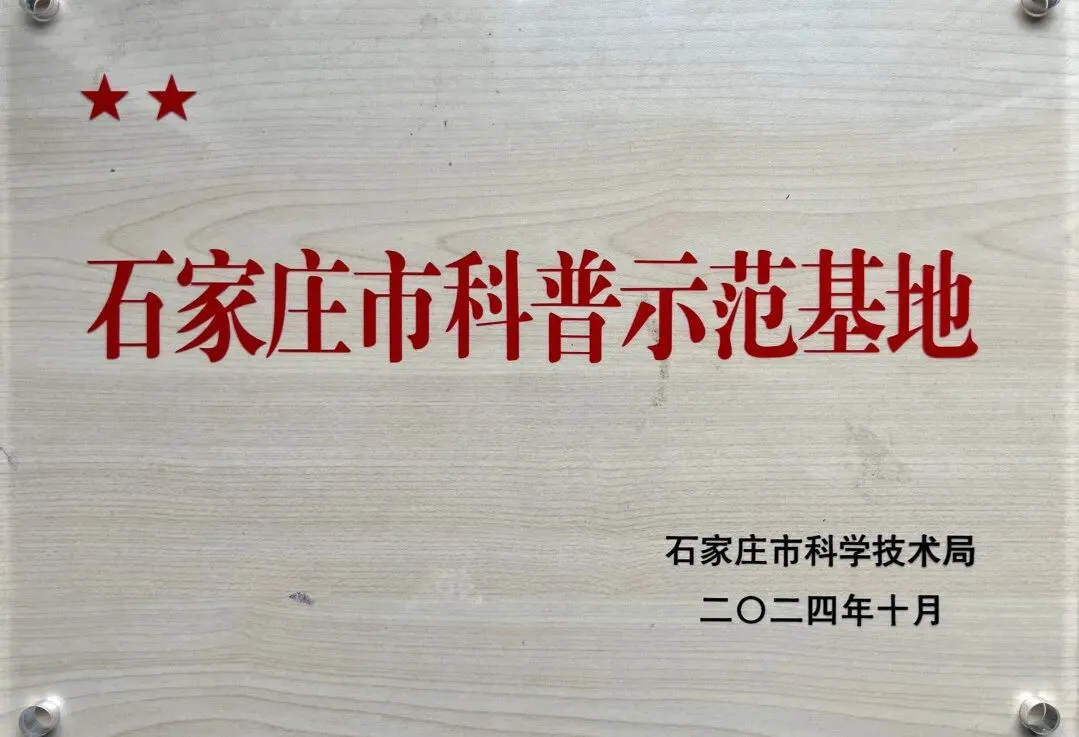 中考加油 | 高“粽”时节,青春圆梦-第79张图片-四季读书网