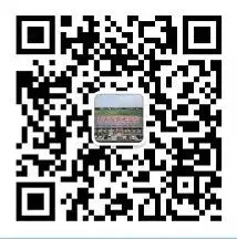 千山红镇:暖心护航再出发 温情相伴助中考-第3张图片-四季读书网