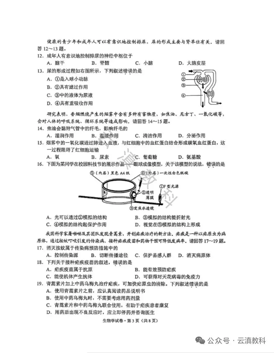 教中考|云南省2026年中考试卷(二)-第11张图片-四季读书网