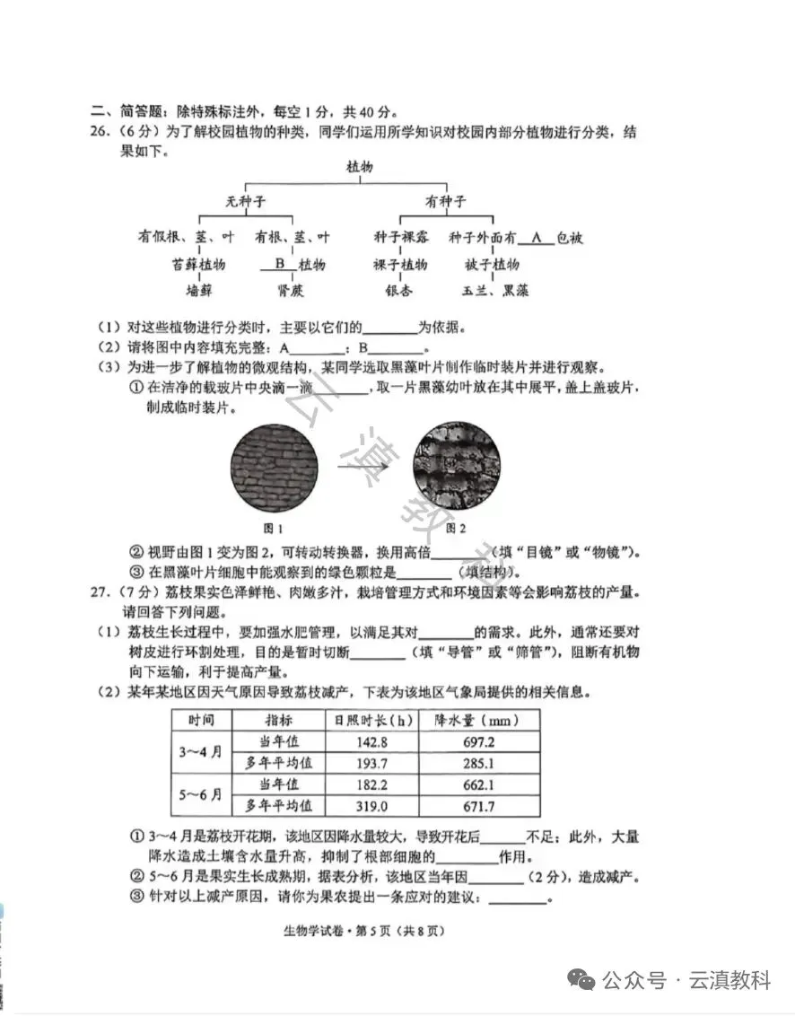教中考|云南省2026年中考试卷(二)-第13张图片-四季读书网