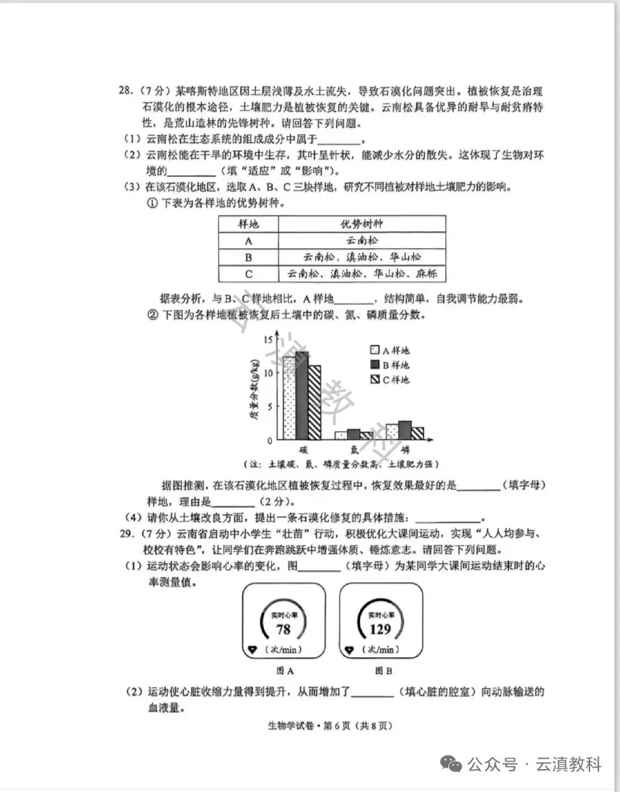 教中考|云南省2026年中考试卷(二)-第14张图片-四季读书网
