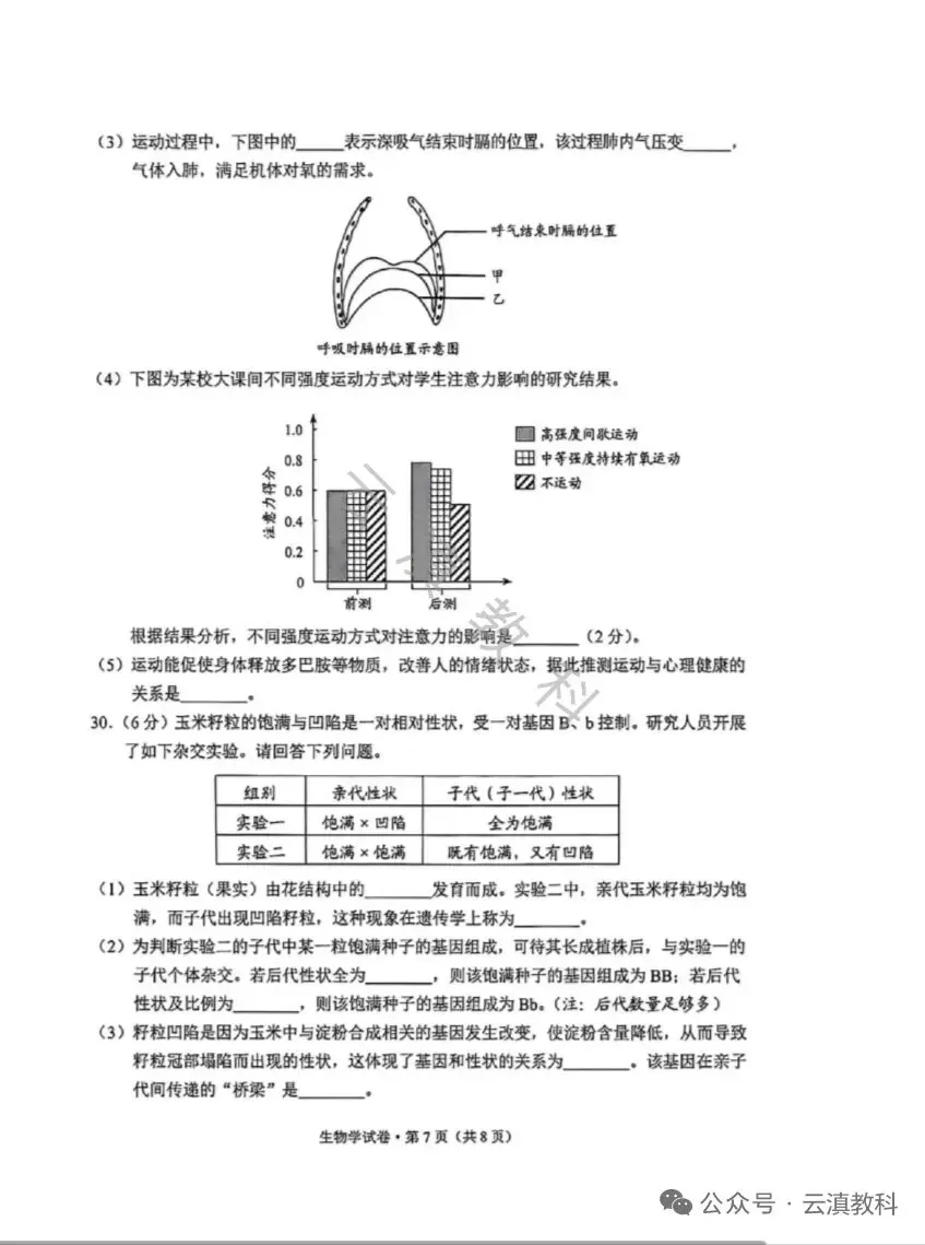 教中考|云南省2026年中考试卷(二)-第15张图片-四季读书网