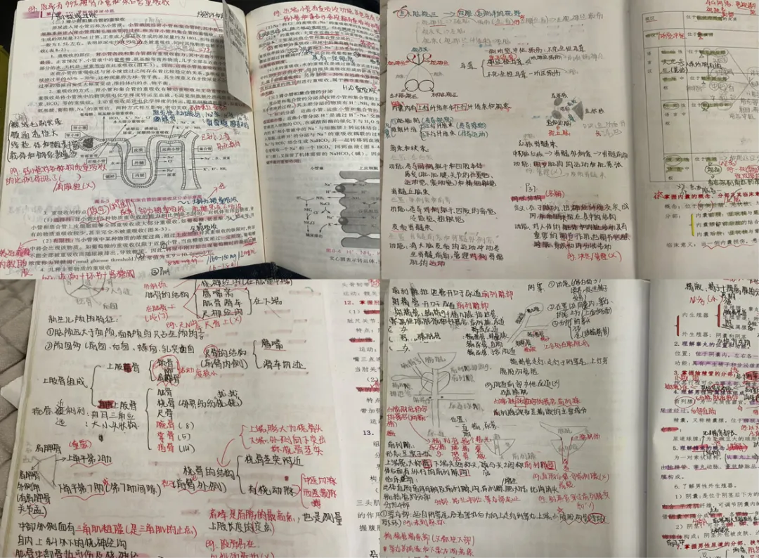 以职教为翼,赴本科之约 ——中考少年的逆袭征途-第18张图片-四季读书网