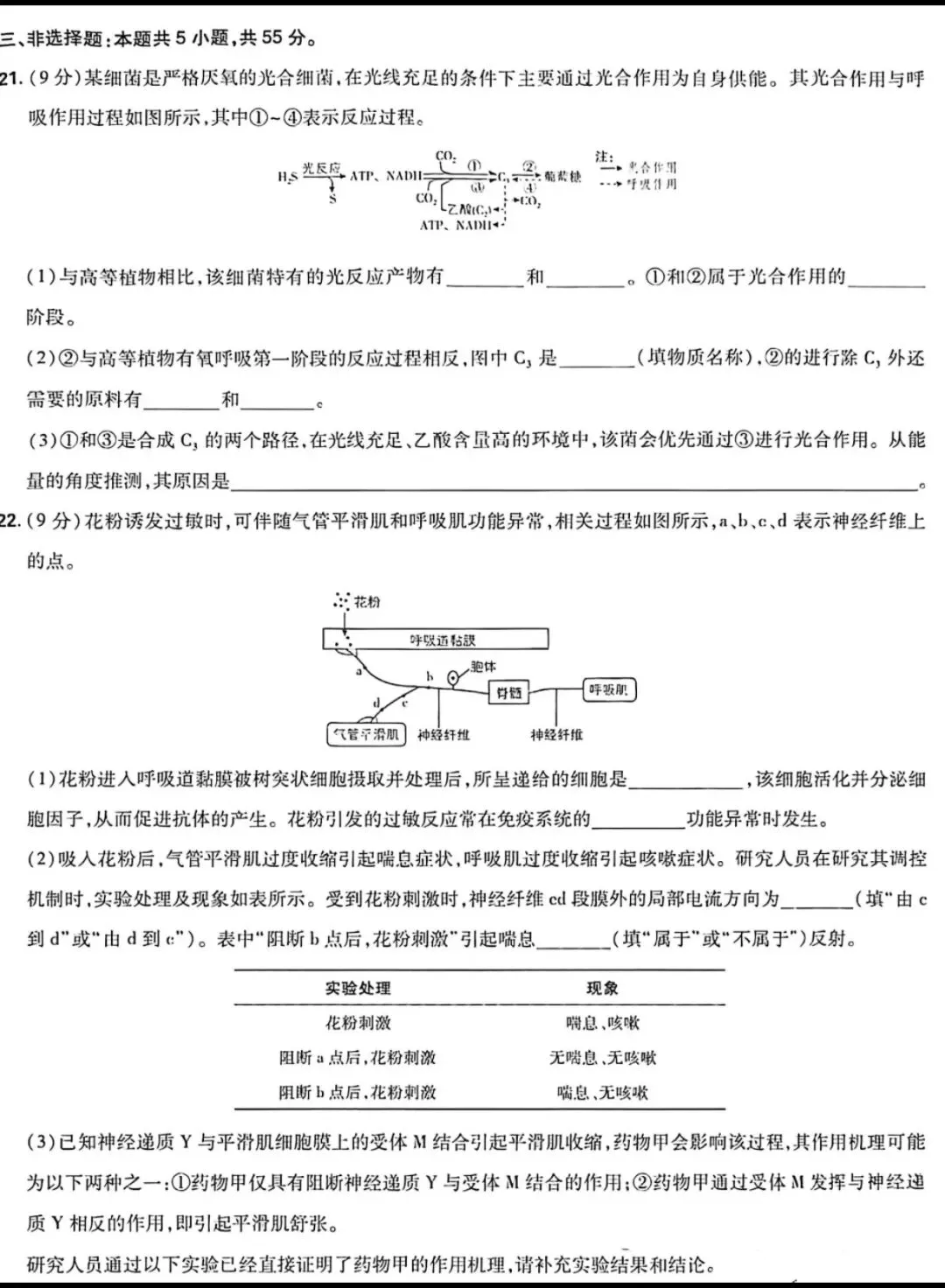 2026年山东高考生物真题-第5张图片-四季读书网 2026年山东高考生物真题-第5张图片-四季读书网