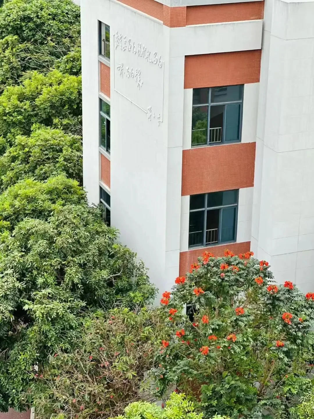 以爱育心|蔡林学校中考考前心理调适暖心指南-第19张图片-四季读书网