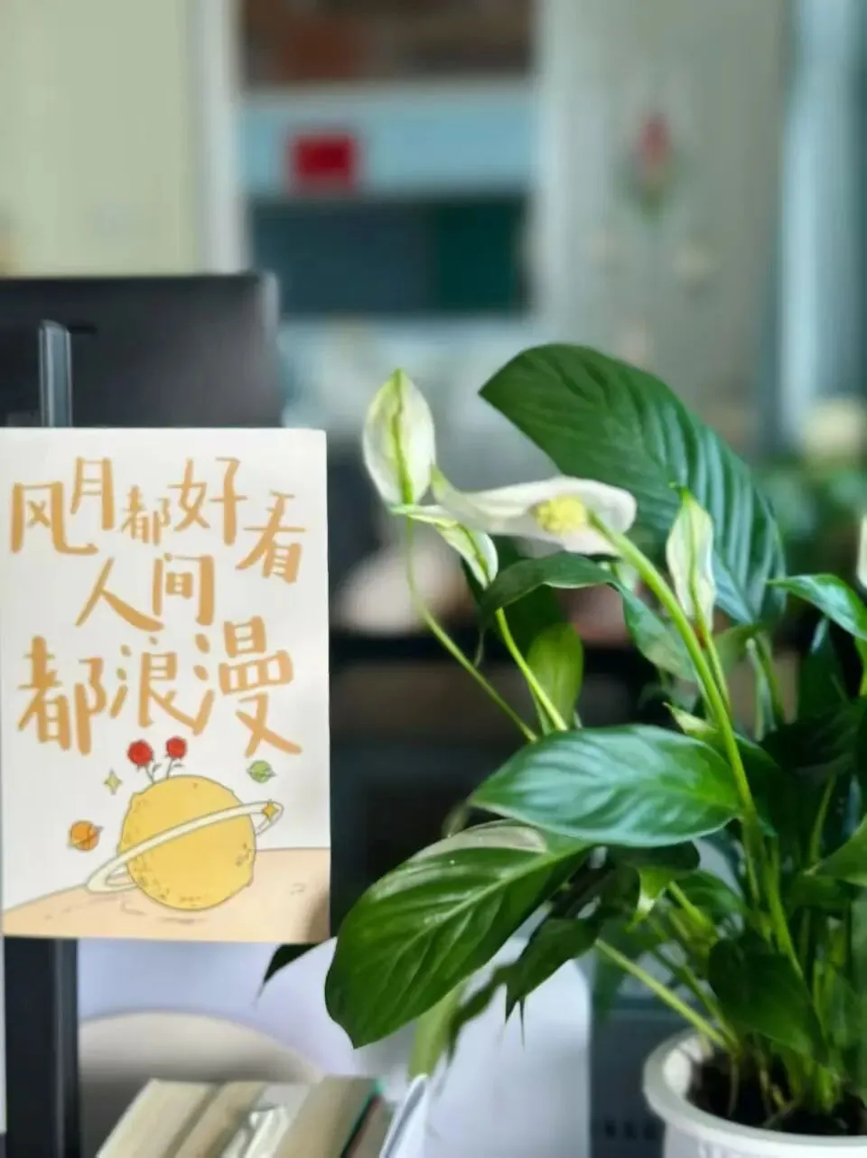 以爱育心|蔡林学校中考考前心理调适暖心指南-第20张图片-四季读书网
