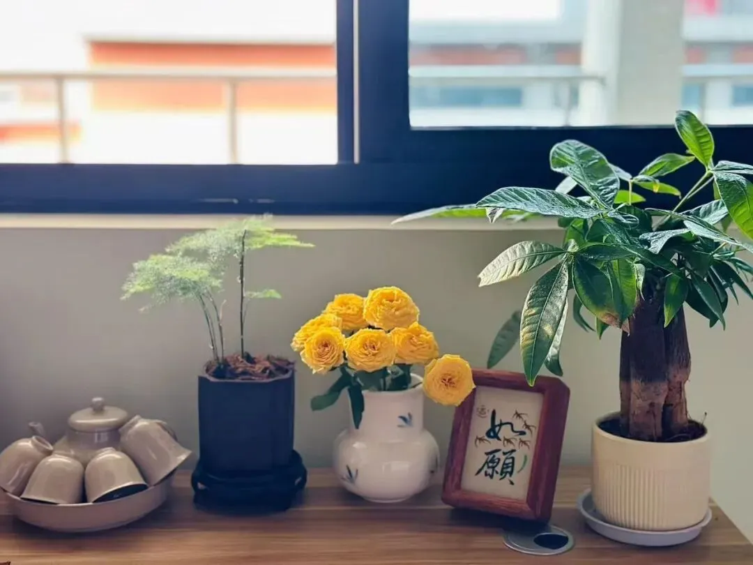 以爱育心|蔡林学校中考考前心理调适暖心指南-第25张图片-四季读书网