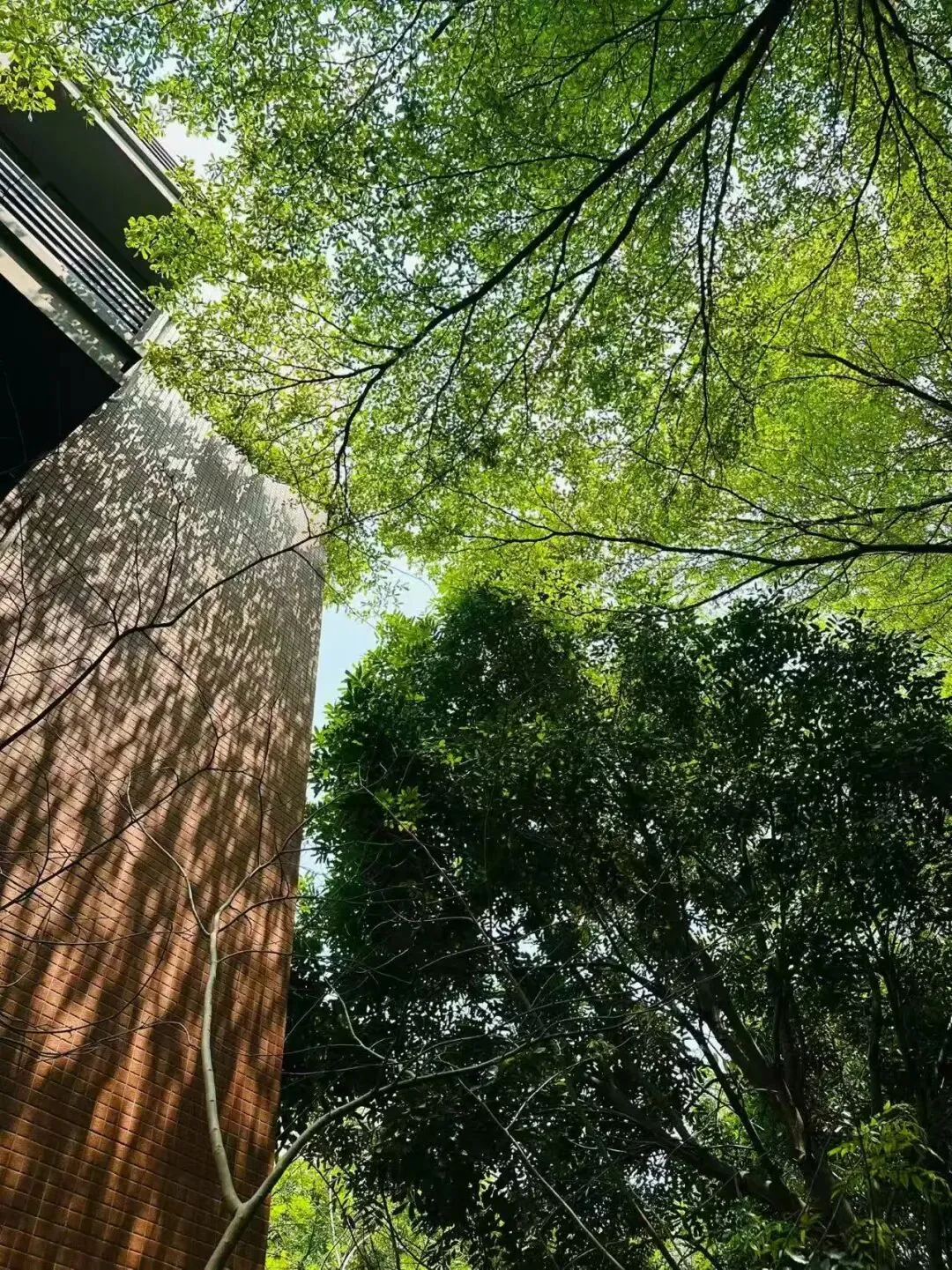 以爱育心|蔡林学校中考考前心理调适暖心指南-第28张图片-四季读书网