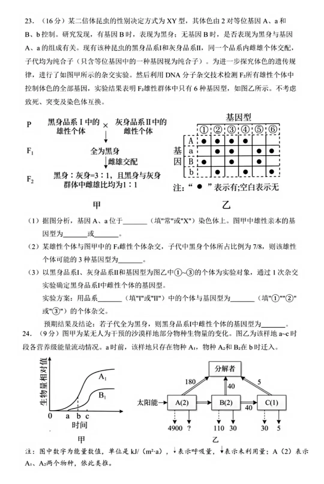 高考生物丨2026年山东省高考生物学试卷-第6张图片-四季读书网