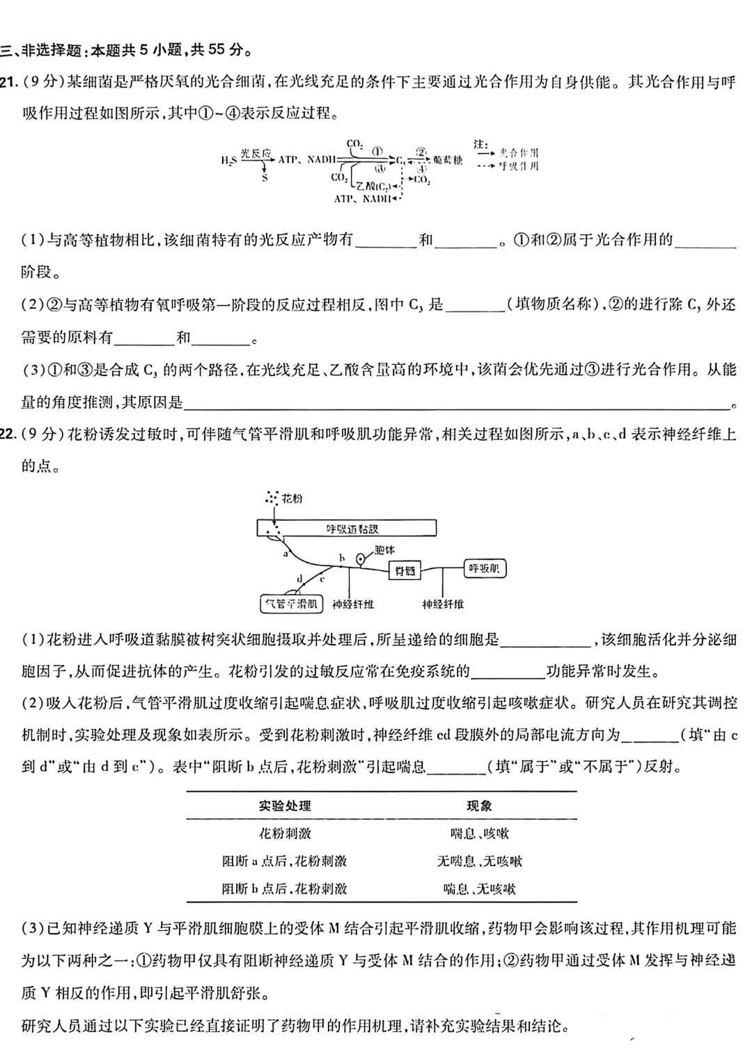 【高考真题】2026年山东高考生物学试卷-第6张图片-四季读书网