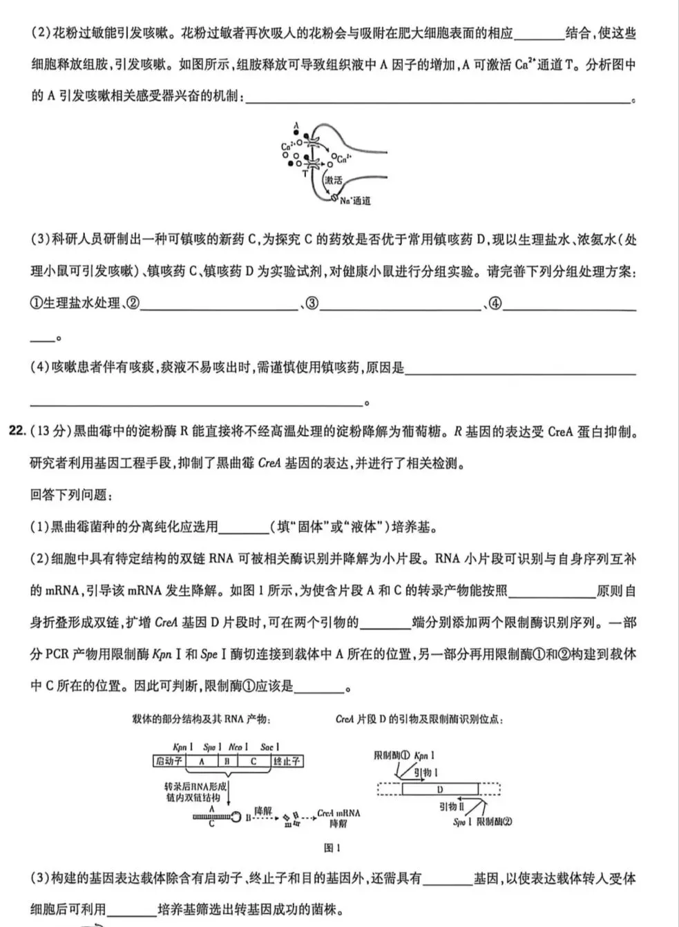 2026年河北生物高考真题试卷-第8张图片-四季读书网