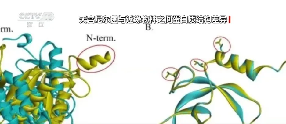 聚焦 | 抓紧收藏!近5年中考“航天题”暴涨,今年各科怎么考?看这篇就够了!-第24张图片-四季读书网 聚焦 | 抓紧收藏!近5年中考“航天题”暴涨,今年各科怎么考?看这篇就够了!-第24张图片-四季读书网