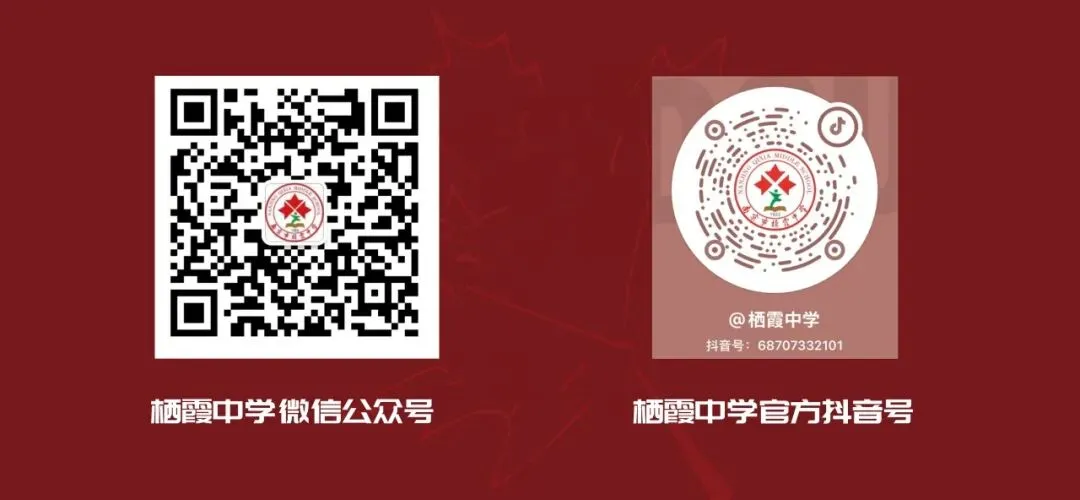 艾香映锋芒,栖中祝登科——端午遇中考,双愿寄少年-第23张图片-四季读书网 艾香映锋芒,栖中祝登科——端午遇中考,双愿寄少年-第23张图片-四季读书网
