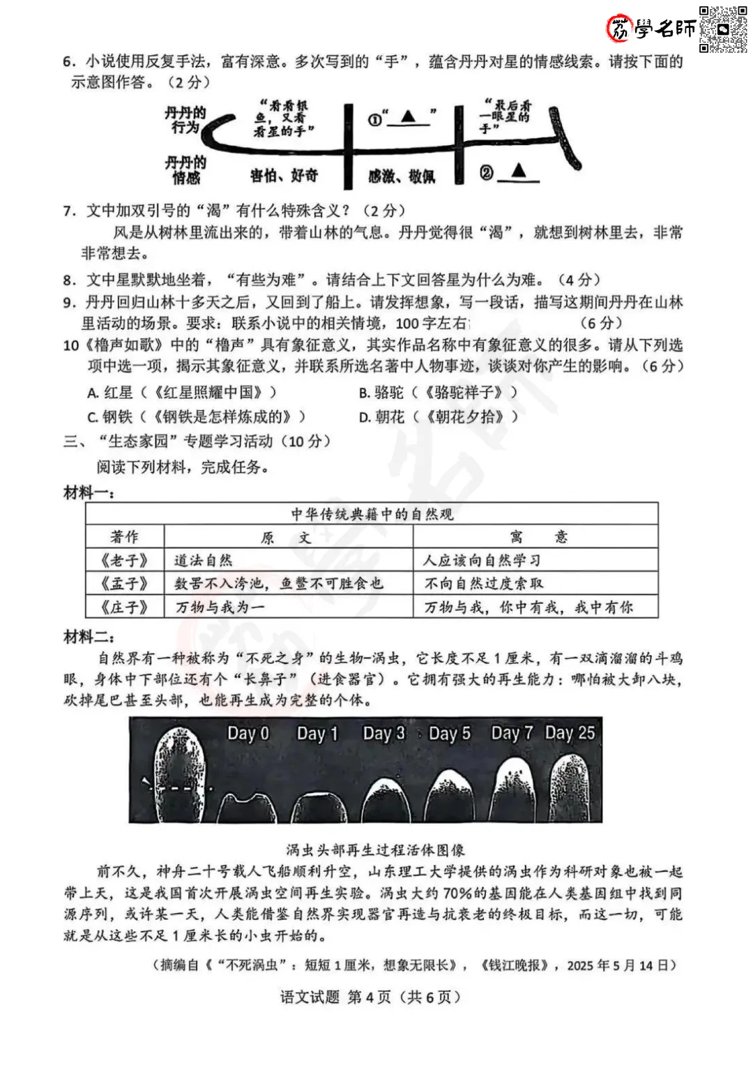 25年浙江省中考-【语文】试卷及答案解析-第5张图片-四季读书网 25年浙江省中考-【语文】试卷及答案解析-第5张图片-四季读书网