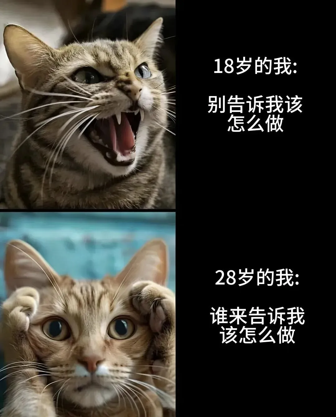 梗/考试最后五分钟检查试卷的你“是时候把答案改成错的了”-第10张图片-四季读书网
