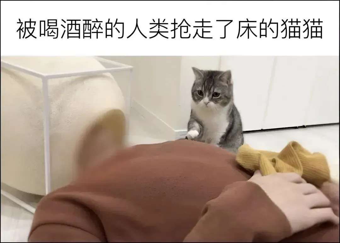 梗/考试最后五分钟检查试卷的你“是时候把答案改成错的了”-第16张图片-四季读书网