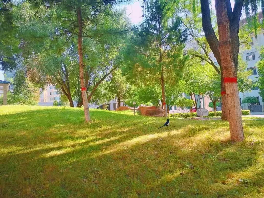 中考倒计时7天|稳住心态正常发挥!师大附中在盛夏等你赴约-第3张图片-四季读书网 中考倒计时7天|稳住心态正常发挥!师大附中在盛夏等你赴约-第3张图片-四季读书网