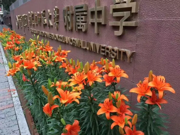 中考倒计时7天|稳住心态正常发挥!师大附中在盛夏等你赴约-第6张图片-四季读书网 中考倒计时7天|稳住心态正常发挥!师大附中在盛夏等你赴约-第6张图片-四季读书网