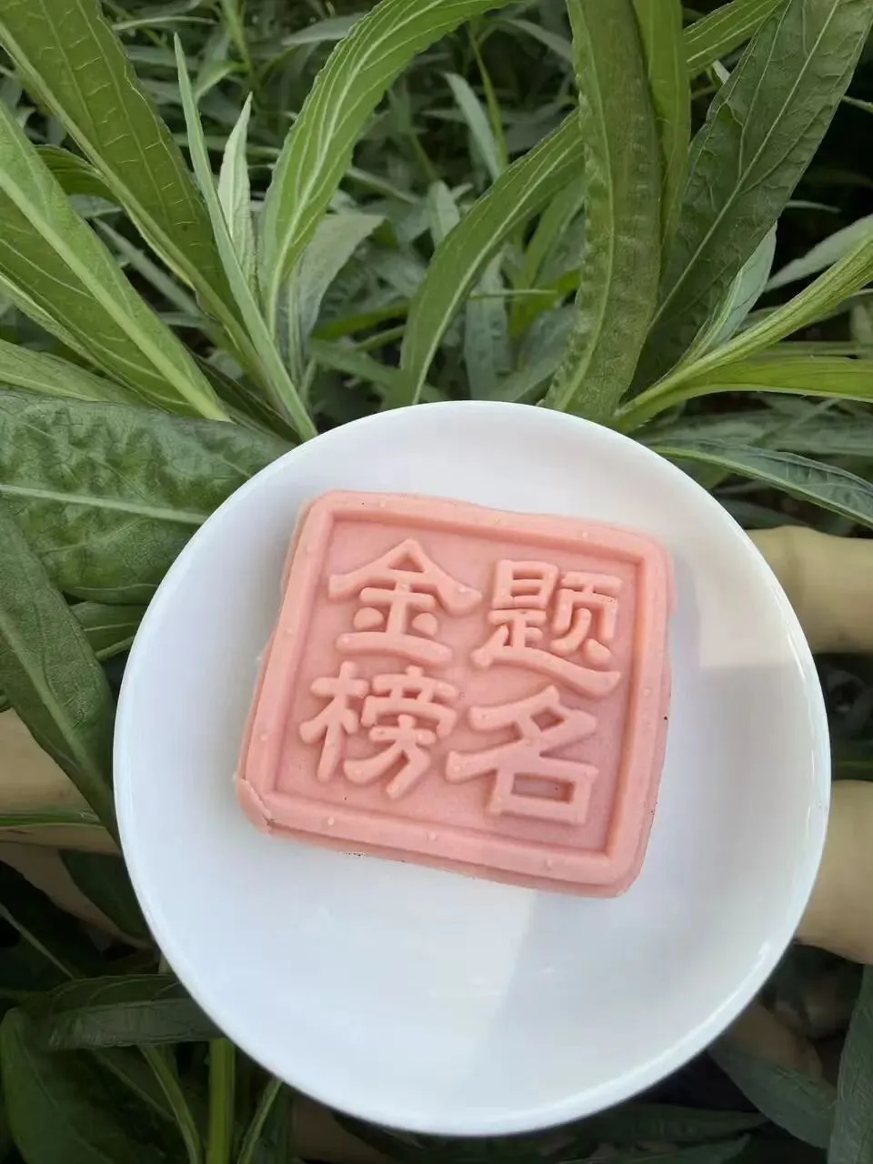【中考加油•美好绽放】三祥承雅愿,少年踏锦程|这场送考仪式,很暖!-第30张图片-四季读书网