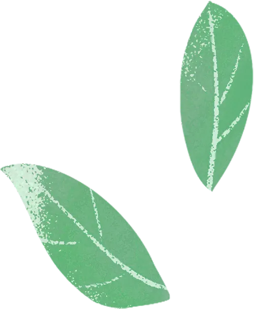 【最新通告】中考遇佳节,安全伴征途——临潼中学2026年中考期间及端午假期致家长的一封信-第6张图片-四季读书网