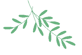 【最新通告】中考遇佳节,安全伴征途——临潼中学2026年中考期间及端午假期致家长的一封信-第11张图片-四季读书网