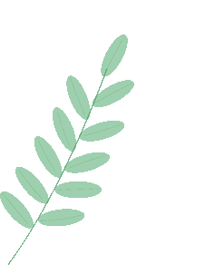 【最新通告】中考遇佳节,安全伴征途——临潼中学2026年中考期间及端午假期致家长的一封信-第13张图片-四季读书网