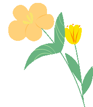 【最新通告】中考遇佳节,安全伴征途——临潼中学2026年中考期间及端午假期致家长的一封信-第16张图片-四季读书网