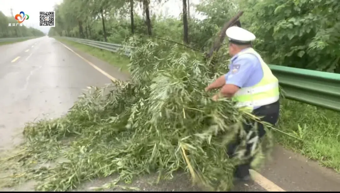 端午、中考遇降雨!武汉交警再发预警-第7张图片-四季读书网 端午、中考遇降雨!武汉交警再发预警-第7张图片-四季读书网