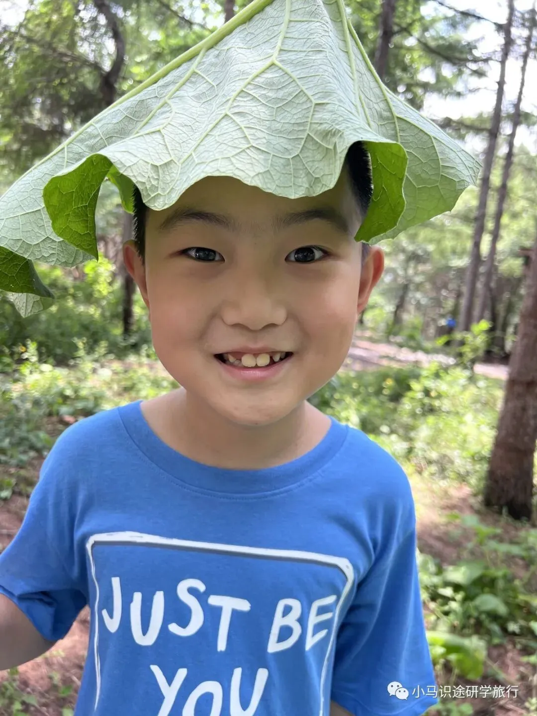 【中考假长途研学】乘风踏浪的少年|滑翔伞课程及体验+皮划艇体验+斯巴达挑战+滑翔伞VR-第70张图片-四季读书网 【中考假长途研学】乘风踏浪的少年|滑翔伞课程及体验+皮划艇体验+斯巴达挑战+滑翔伞VR-第70张图片-四季读书网