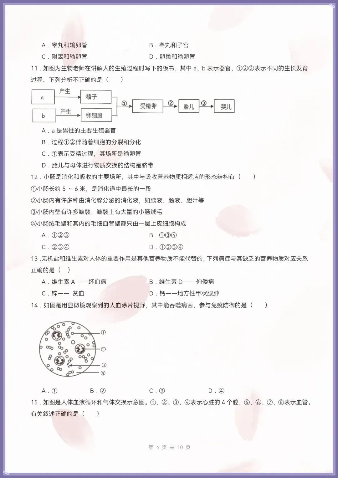 七下生物人教版|26新七下生物期末模拟卷·素养培优(考试版+全解全析)【电子版可打印!】-第4张图片-四季读书网 七下生物人教版|26新七下生物期末模拟卷·素养培优(考试版+全解全析)【电子版可打印!】-第4张图片-四季读书网