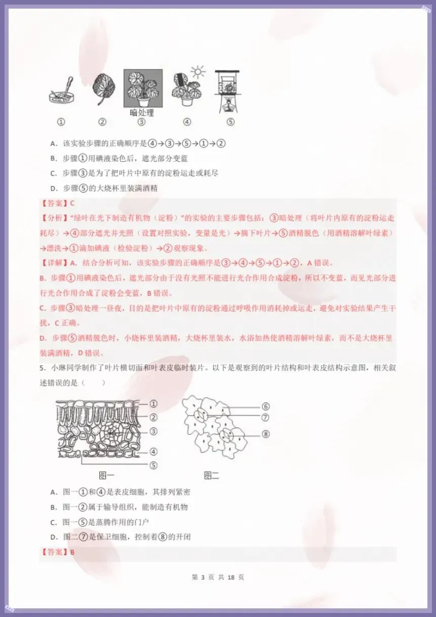 七下生物人教版|26新七下生物期末模拟卷·素养培优(考试版+全解全析)【电子版可打印!】-第7张图片-四季读书网 七下生物人教版|26新七下生物期末模拟卷·素养培优(考试版+全解全析)【电子版可打印!】-第7张图片-四季读书网
