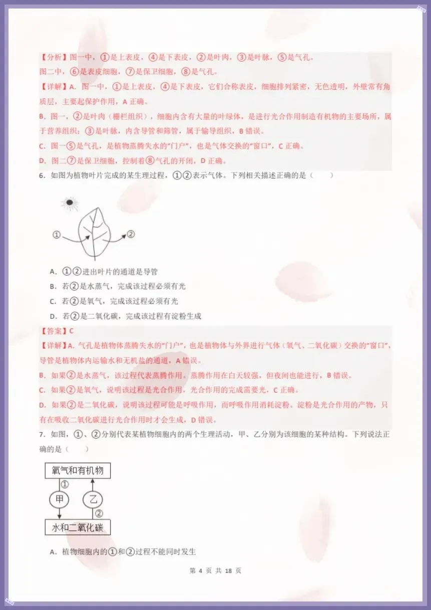 七下生物人教版|26新七下生物期末模拟卷·素养培优(考试版+全解全析)【电子版可打印!】-第8张图片-四季读书网 七下生物人教版|26新七下生物期末模拟卷·素养培优(考试版+全解全析)【电子版可打印!】-第8张图片-四季读书网
