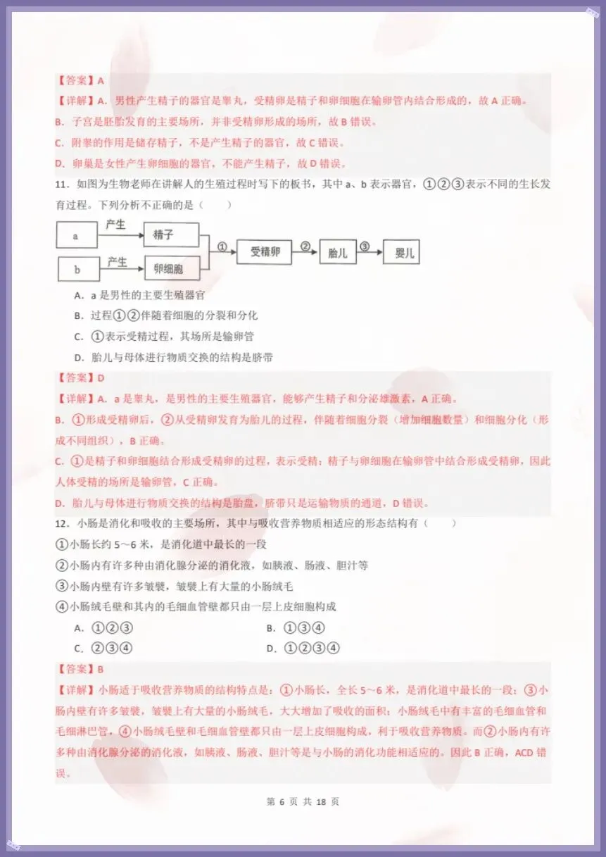 七下生物人教版|26新七下生物期末模拟卷·素养培优(考试版+全解全析)【电子版可打印!】-第10张图片-四季读书网 七下生物人教版|26新七下生物期末模拟卷·素养培优(考试版+全解全析)【电子版可打印!】-第10张图片-四季读书网