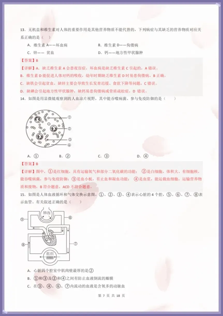 七下生物人教版|26新七下生物期末模拟卷·素养培优(考试版+全解全析)【电子版可打印!】-第11张图片-四季读书网 七下生物人教版|26新七下生物期末模拟卷·素养培优(考试版+全解全析)【电子版可打印!】-第11张图片-四季读书网