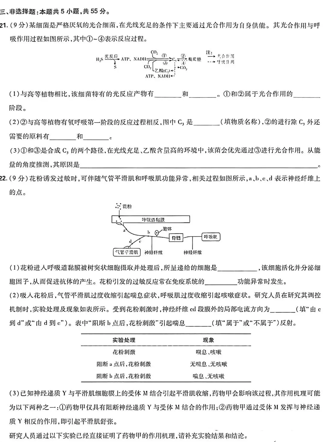 【真题速递】2026 山东省高考生物真题-第6张图片-四季读书网