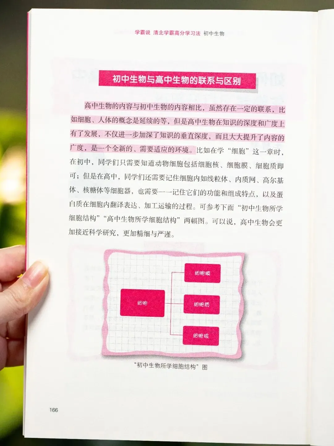 中考后才发现:补课和不补课的孩子差距明显,可惜无法重来了-第50张图片-四季读书网