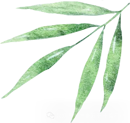 中考天气已发送,请注意查收~-第1张图片-四季读书网 中考天气已发送,请注意查收~-第1张图片-四季读书网