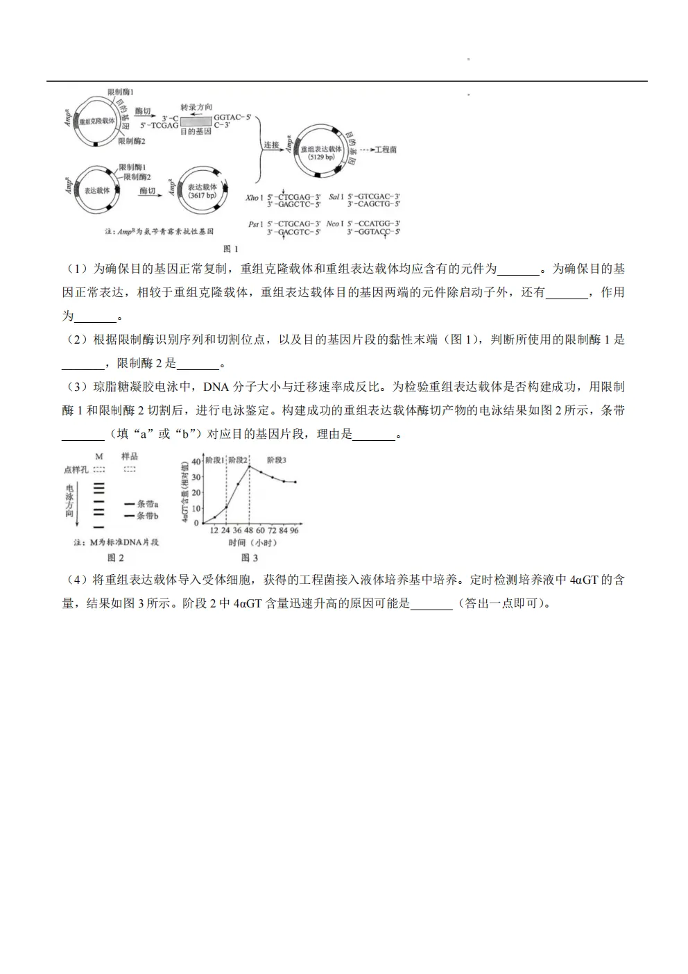 【高考真题】2026年河南省高考真题试卷(六科,可下载)-第37张图片-四季读书网 【高考真题】2026年河南省高考真题试卷(六科,可下载)-第37张图片-四季读书网