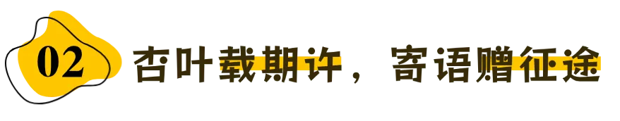 中考特刊 | 风携银杏语 相送追梦人-第22张图片-四季读书网 中考特刊 | 风携银杏语 相送追梦人-第22张图片-四季读书网