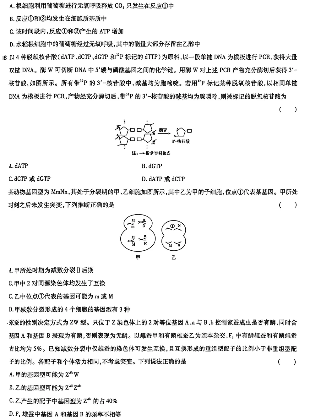 2026年山东高考生物真题试卷-第2张图片-四季读书网