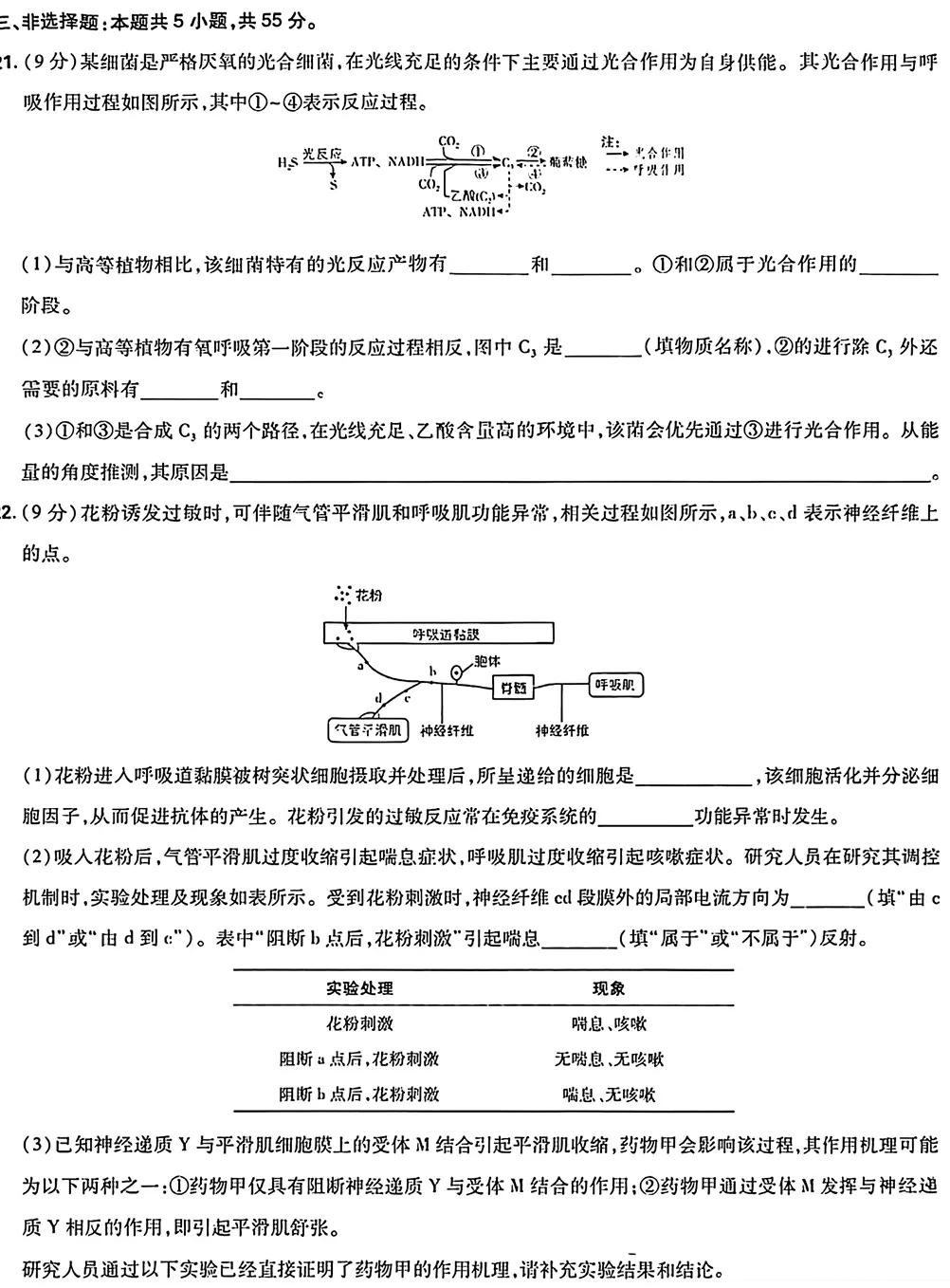 2026年山东高考生物真题试卷-第6张图片-四季读书网