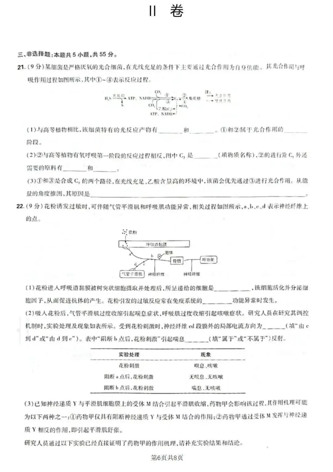 2026年高考生物学试卷——山东省-第7张图片-四季读书网