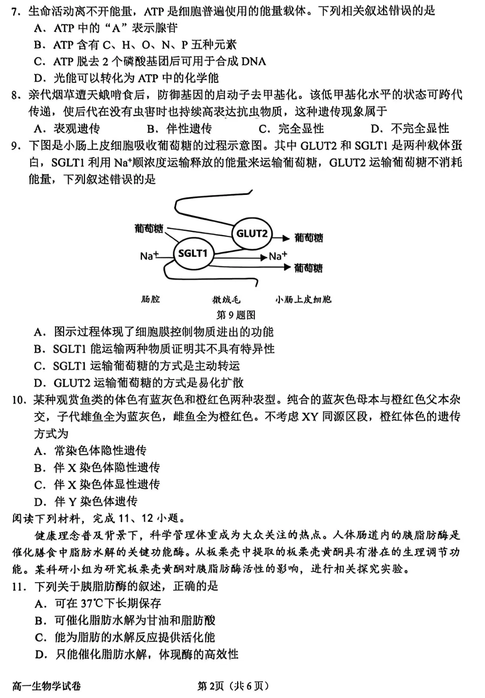 2026年6月衢州高一期末生物试卷和答案-第2张图片-四季读书网 2026年6月衢州高一期末生物试卷和答案-第2张图片-四季读书网