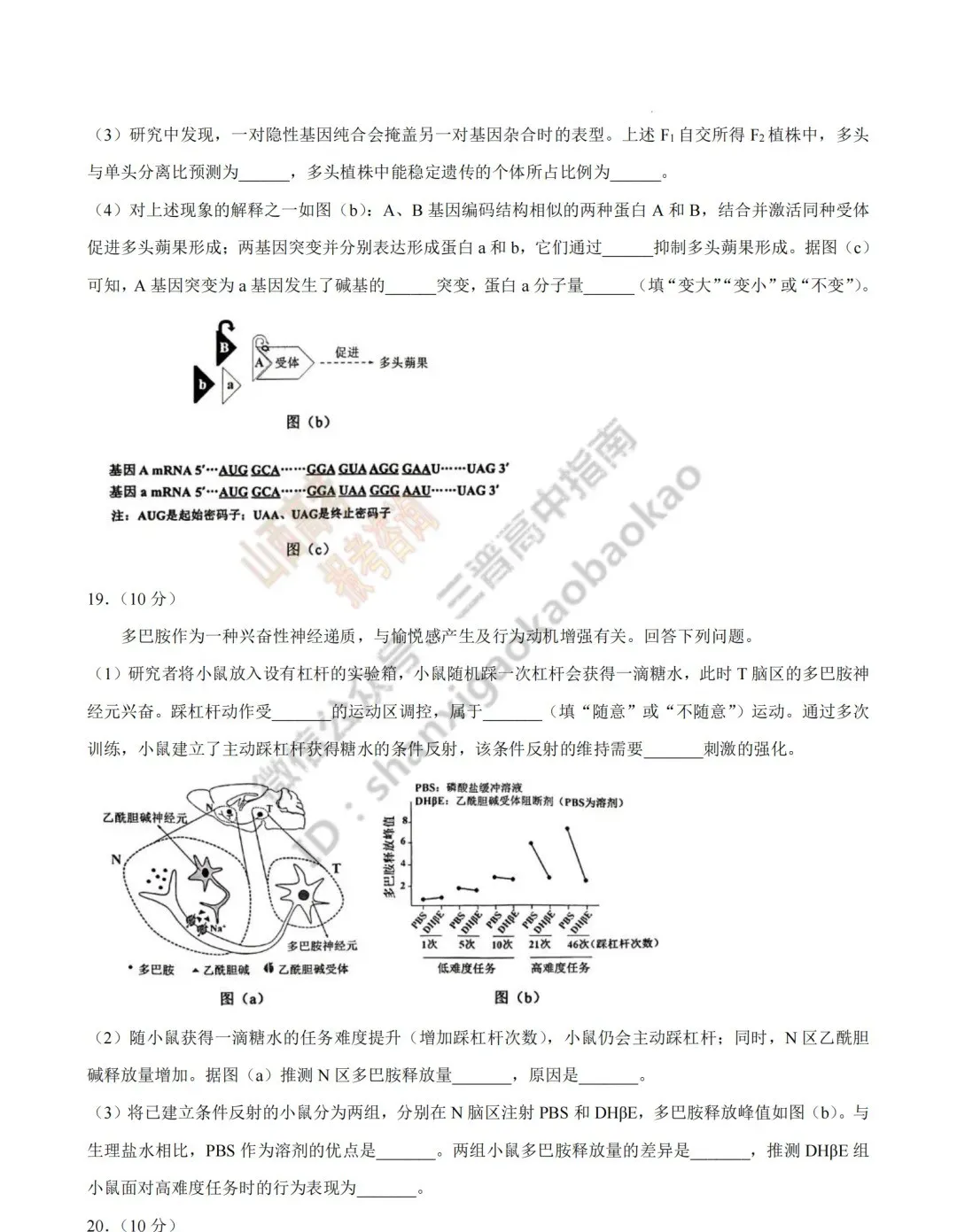 2026年山西高考真题语文/数学/英语/物理/生物/地理/政治/化学试题与答案(带试题分析) !-第158张图片-四季读书网