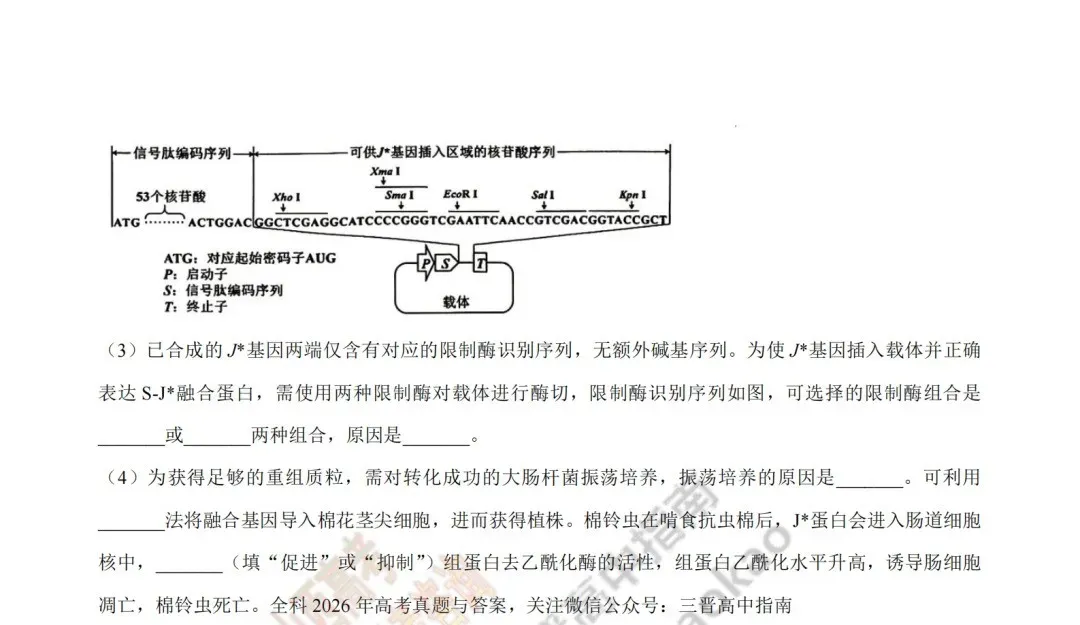 2026年山西高考真题语文/数学/英语/物理/生物/地理/政治/化学试题与答案(带试题分析) !-第160张图片-四季读书网
