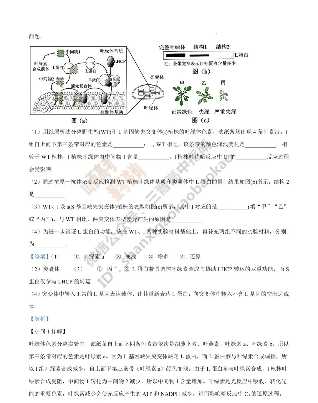 2026年山西高考真题语文/数学/英语/物理/生物/地理/政治/化学试题与答案(带试题分析) !-第172张图片-四季读书网