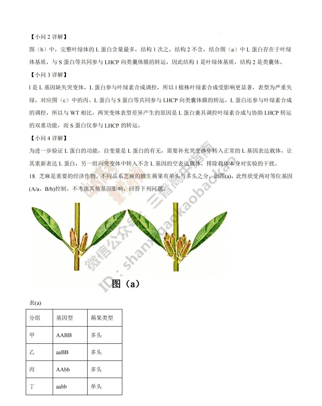 2026年山西高考真题语文/数学/英语/物理/生物/地理/政治/化学试题与答案(带试题分析) !-第173张图片-四季读书网