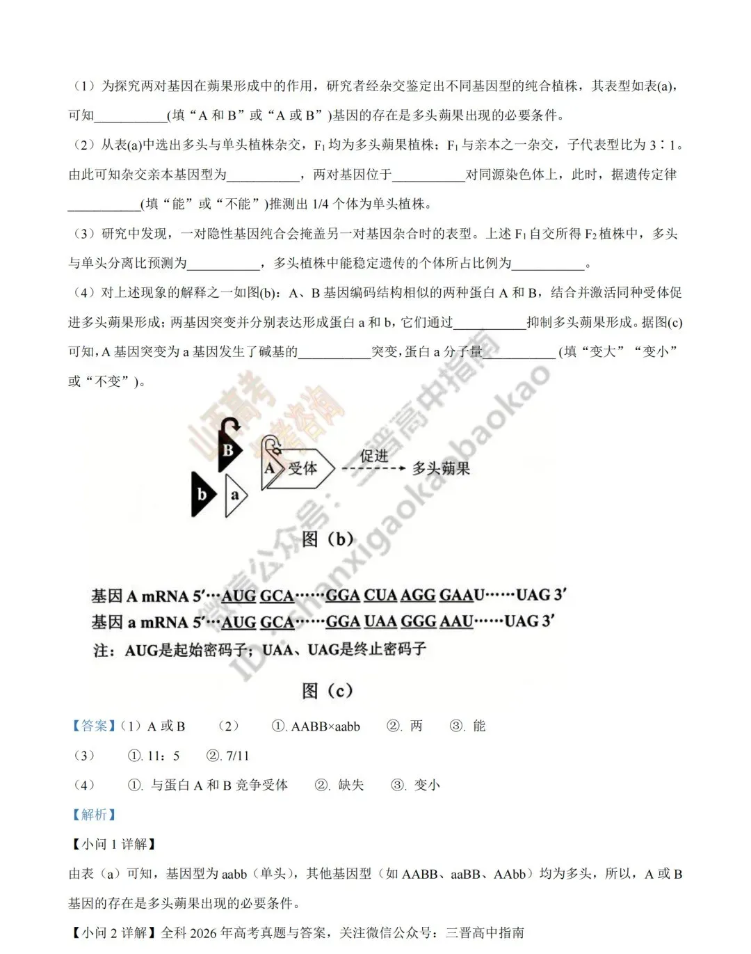 2026年山西高考真题语文/数学/英语/物理/生物/地理/政治/化学试题与答案(带试题分析) !-第174张图片-四季读书网