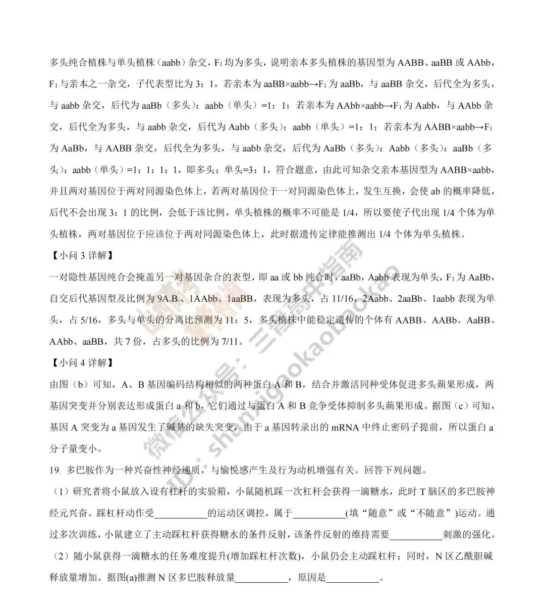2026年山西高考真题语文/数学/英语/物理/生物/地理/政治/化学试题与答案(带试题分析) !-第175张图片-四季读书网