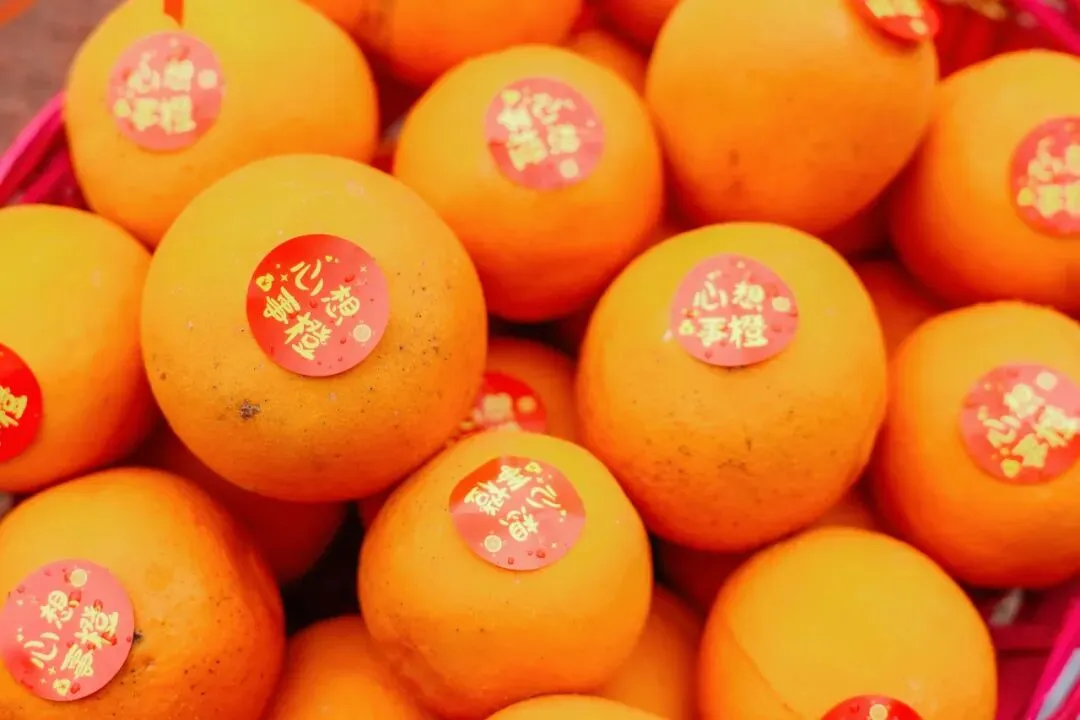 中考加油 | 策马逐梦 笔定辉煌-第51张图片-四季读书网 中考加油 | 策马逐梦 笔定辉煌-第51张图片-四季读书网